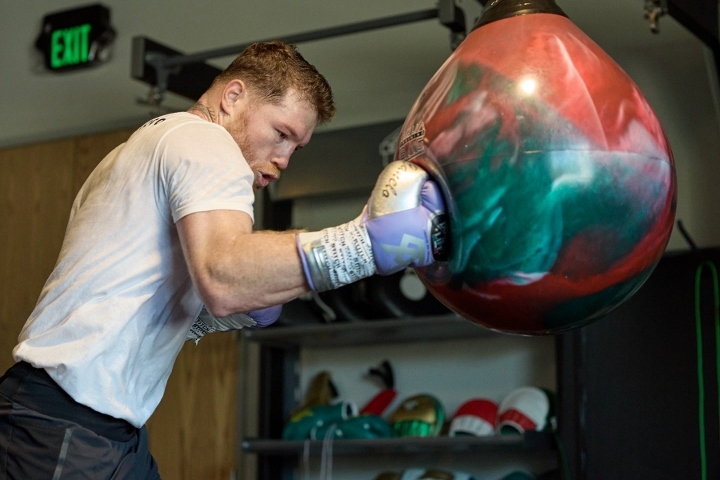 canelo-alvarez (13)_1694641108