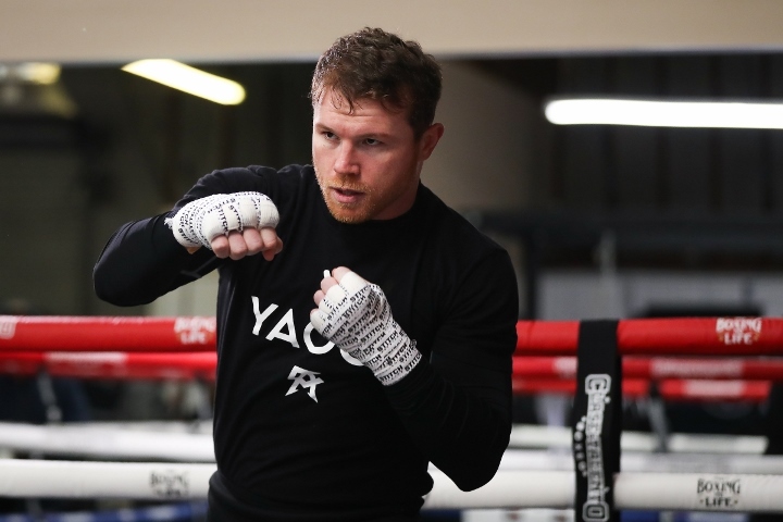 canelo-alvarez (16)_1680800819