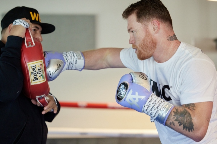 canelo-alvarez (4)_1694641107