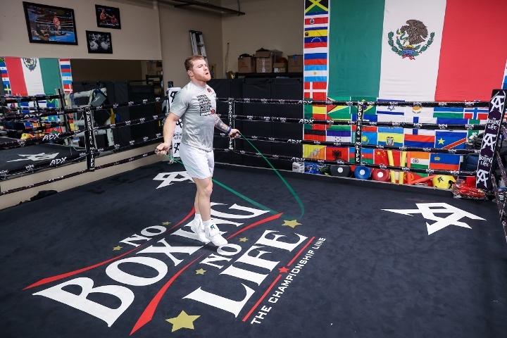 canelo-alvarez (73)