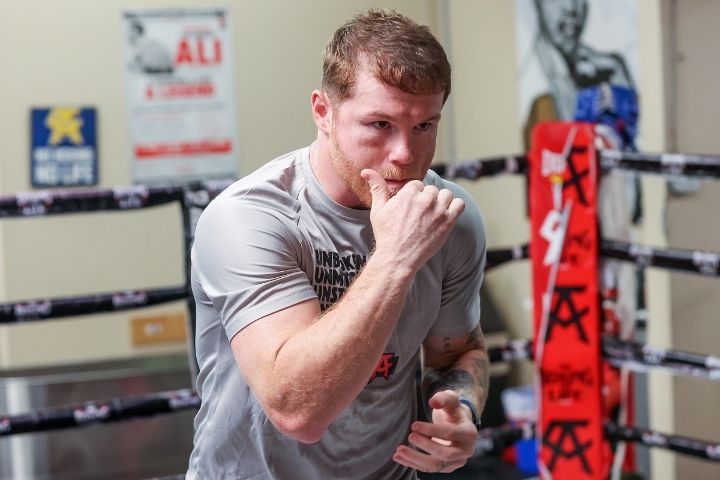 canelo-alvarez (75)