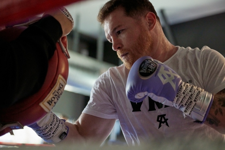 canelo-alvarez (8)_1694641108