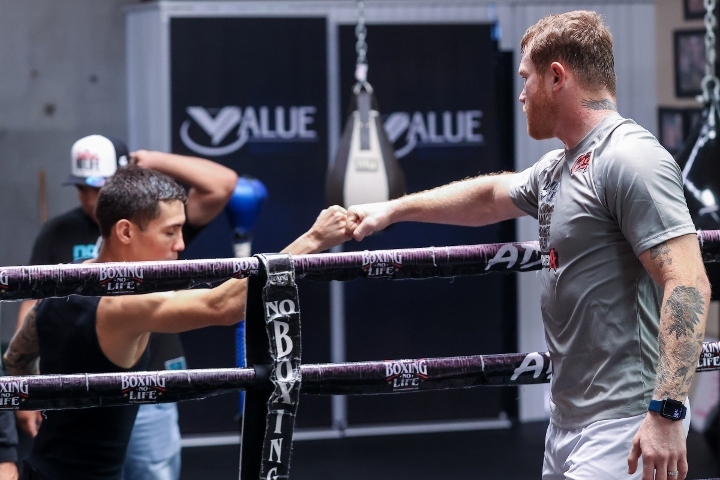 canelo-alvarez (89)