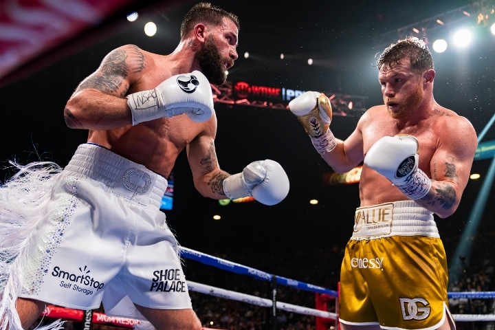 canelo-plant-fight (3)