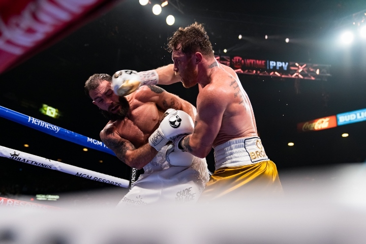 canelo-plant-fight (31)