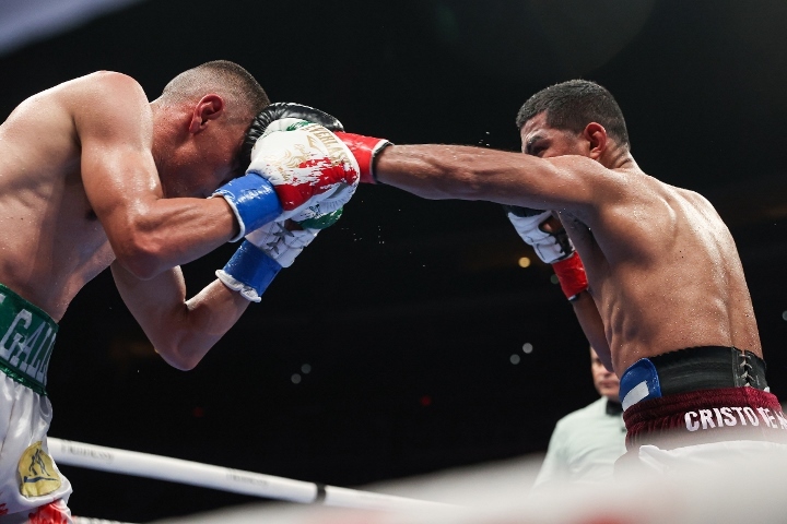 estrada-chocolatito-trilogy (14)