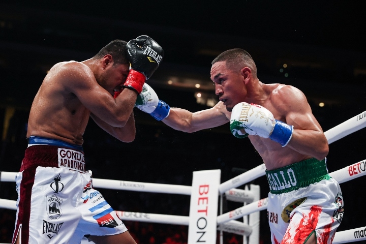 estrada-chocolatito-trilogy (22)