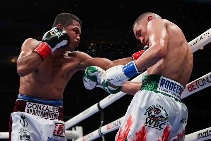 estrada-chocolatito-trilogy (53)