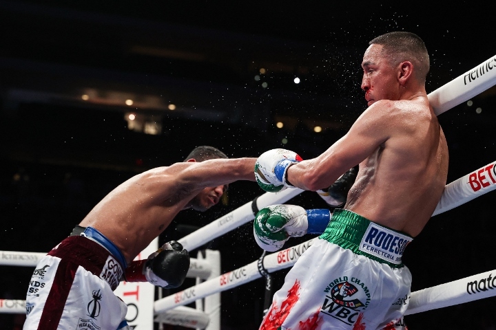 estrada-chocolatito-trilogy (54)