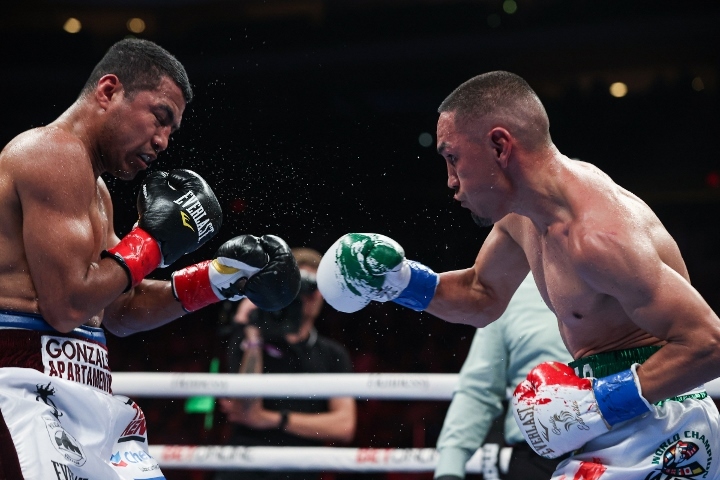 estrada-chocolatito-trilogy (9)