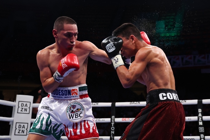 estrada-cortes-fight (14)