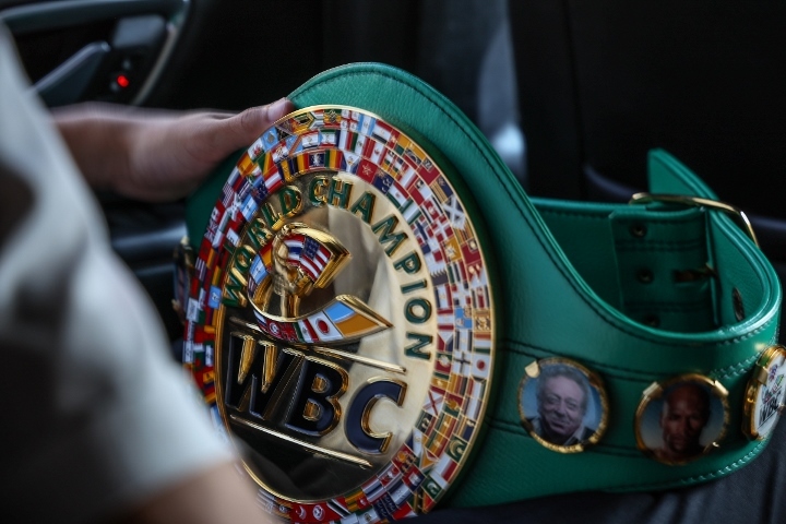 wbc-belt_1655864481