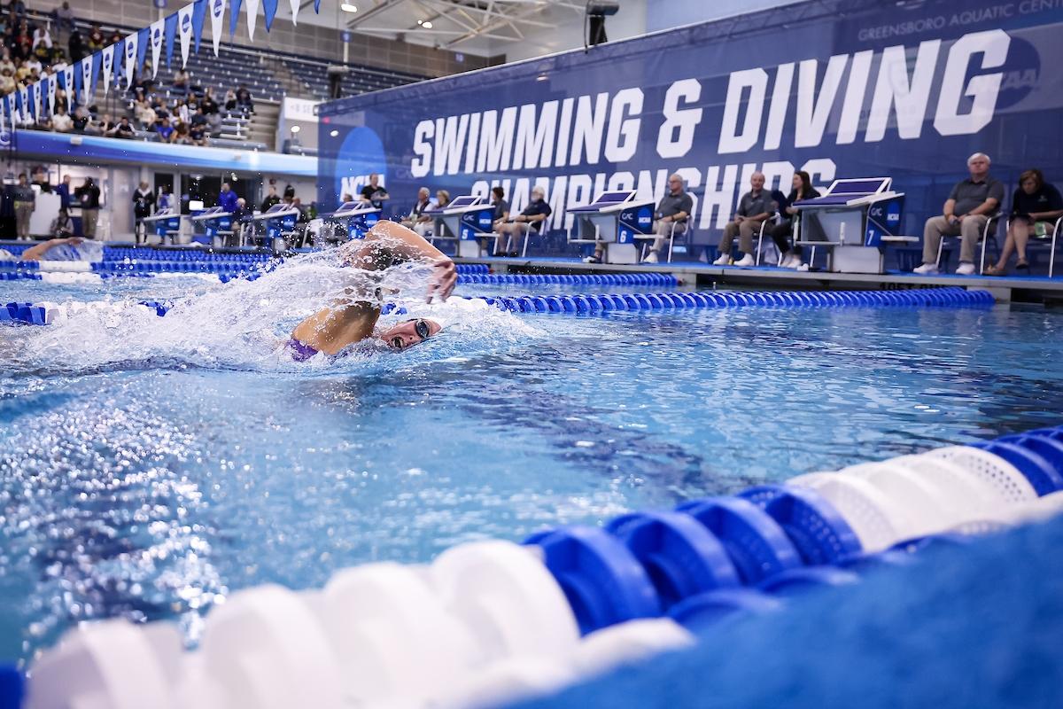 Swim & Dive championships