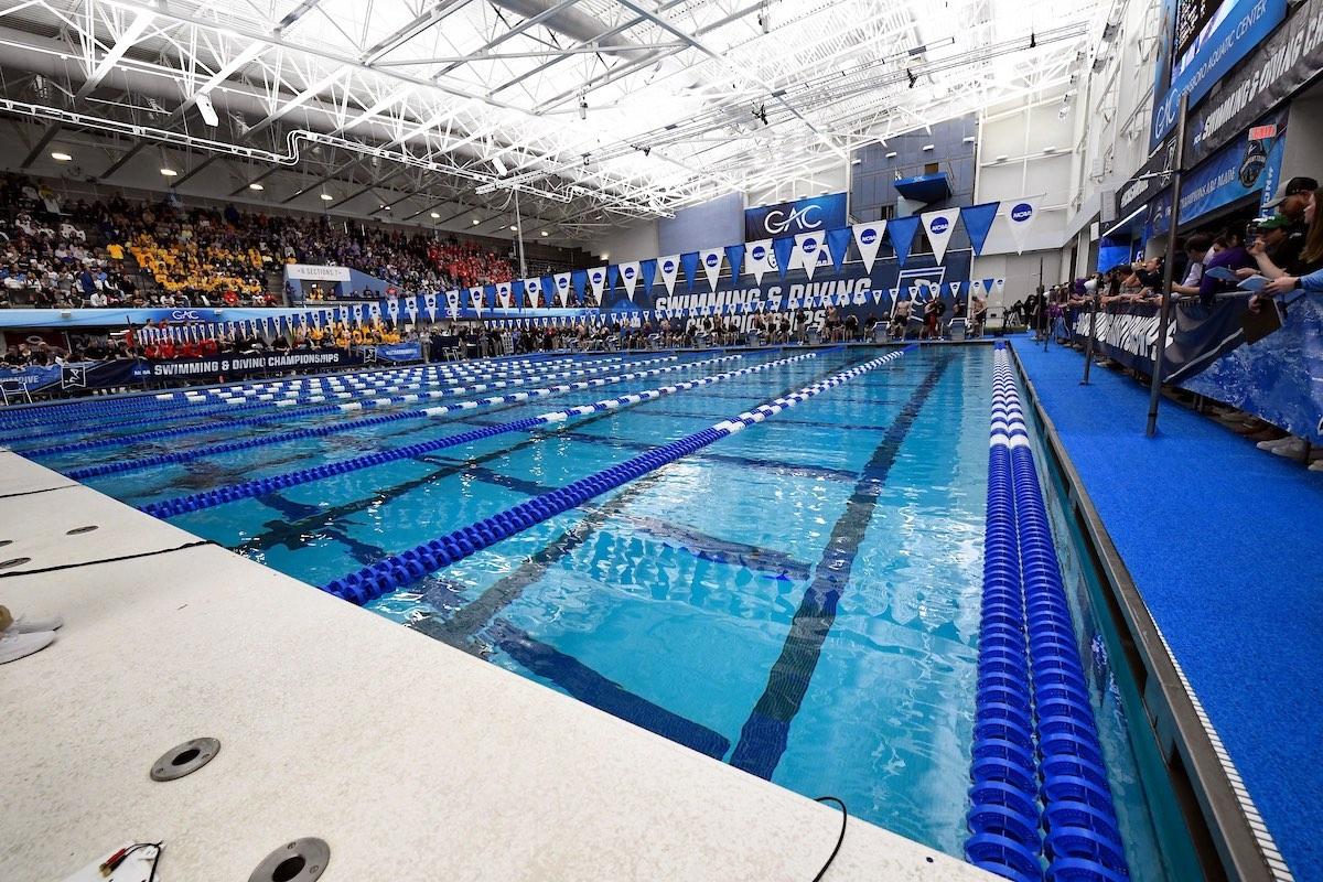 2023 DI men's swimming and diving championships